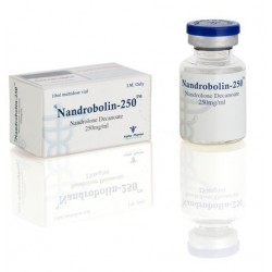 Achetez Nandrobolin 10ml 250mg/ml en ligne Produit: Nandrobolin 10ml 250mg/ml Chaque unité commandée contient: Nandrobolin 10ml 250mg/ml Substance active: La Nandrolone Fabricant / Marque: Alpha Pharma