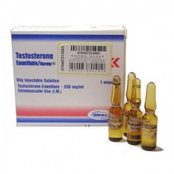 Comprare Testosterone Enanthate 5 x 1ml (250mg/ml) on-line Prodotto: Testosterone Enanthate 5 x 1ml (250mg/ml)  Ogni unità di ordine contiene: Testosterone Enanthate 5 x 1ml (250mg/ml)  Sostanza attiva: Testosterone  Produttore / Marca: Norma Hellas S. A.