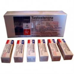 Achetez Testosterone Enanthate 20x 1ml 250mg/ml en ligne Produit: Testosterone Enanthate 20x 1ml 250mg/ml Chaque unité commandée contient: Testosterone Enanthate 20x 1ml 250mg/ml Substance active: La testostérone Fabricant / Marque: Rotexmedica