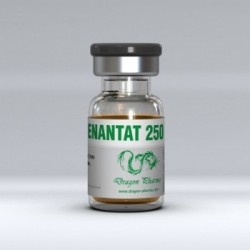 Achetez Enantat 250 en ligne Produit: Enantat 250 Chaque unité commandée contient: Enantat 250 Substance active: La testostérone Fabricant / Marque: Dragon Pharma