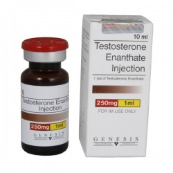 Buy Testosterone Enanthate 10ml 250mg/ml online Product: Testosterone Enanthate 10ml 250mg/ml  Each order unit contains: Testosterone Enanthate 10ml 250mg/ml  Active substance: Testosterone  Manufacturer / Brand: Genesis