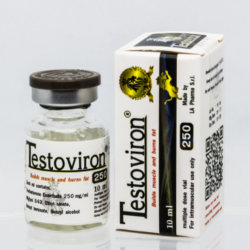 Acquistare Testoviron 10ml 250mg/ml on-line
Prodotto: Testoviron 10ml 250mg/ml
Ogni unità di ordine contiene: Testoviron 10ml 250mg/ml
Sostanza attiva: Testosterone
Produttore / Marca: LA Pharma s.r.l.