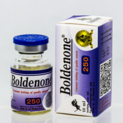 Comprare Boldenone 10ml 250mg/ml on-line
Prodotto: Boldenone 10ml 250mg/ml
Ogni unità di ordine contiene: Boldenone 10ml 250mg/ml
Sostanza attiva: Boldenone Equipoise
Produttore / Marca: LA Pharma s.r.l.